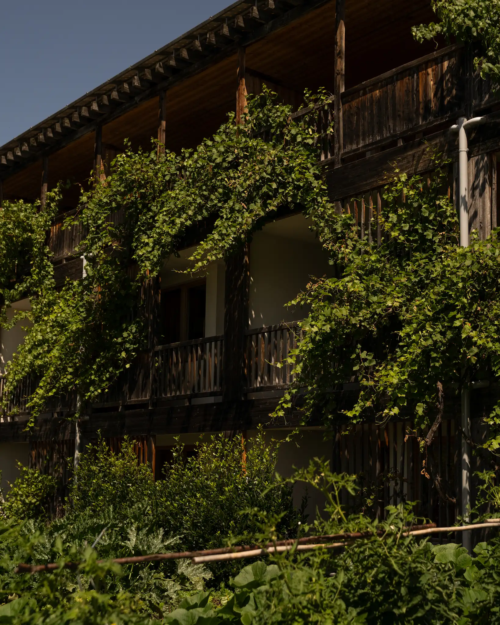 Theiner's Garten