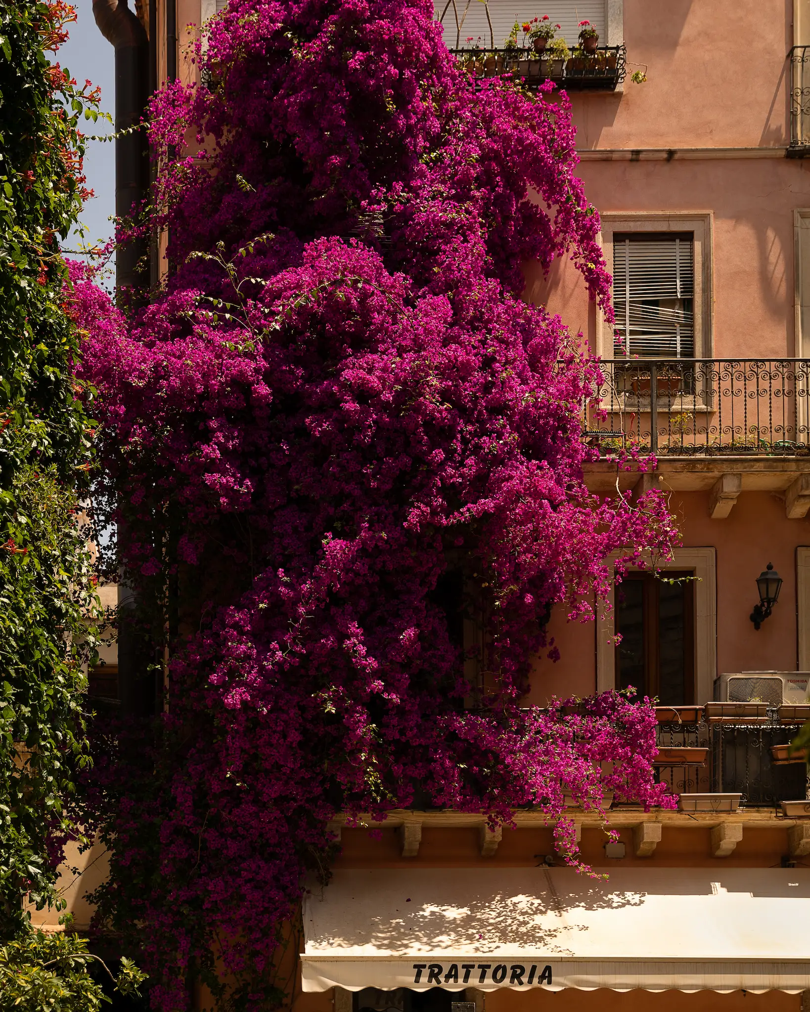 Spot of bouganville in Taormina